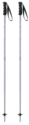 Горнолыжные палки Elan Speedrod Purple от магазина Адреналин