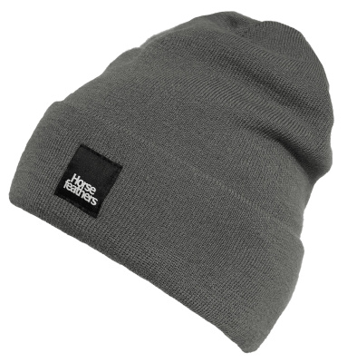 Шапка мужская Horsefeathers NIKLAS BEANIE (gunmetal) от магазина Адреналин