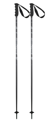 Горнолыжные палки Elan Speedrod Black от магазина Адреналин